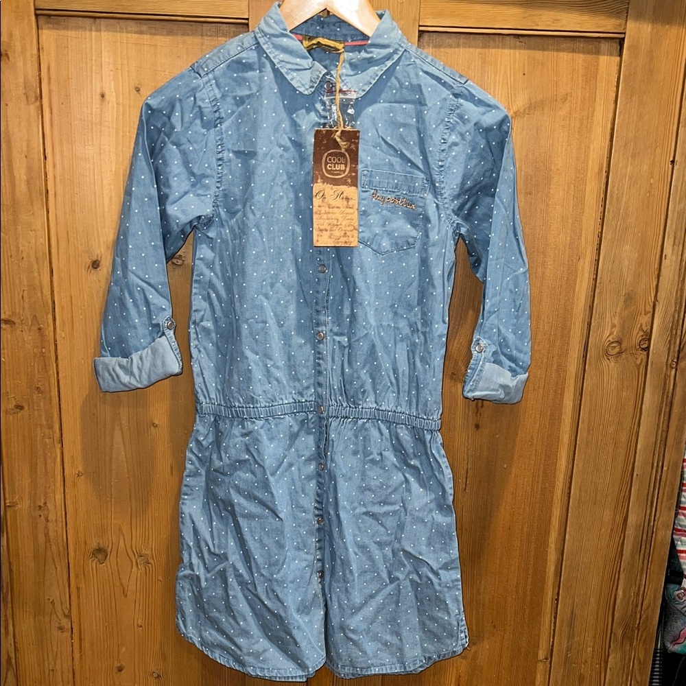 Blue Polka Dot Button-Up Dress